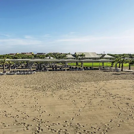 Robinson Nobilis Μπέλεκ